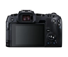 Canon EOS RP + RF 800mm f/11 IS STM