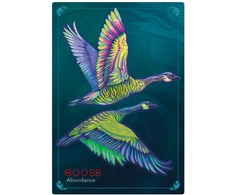 Cartamundi Kolekcionuojamos Kortelės - Tarot Kortų Kaladė - Echoes of the Wild Souls, 34 Iliustruotos Kortos, 15,0 x 10,5 x 3,5 cm
