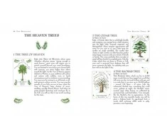 Cico Books Tree Magick Oracle Kortos