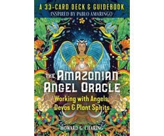 Destiny Books Amazonian Angel Oracle Kortos