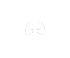 Dji Phantom P4 Part 62 Propeller Guard (propelerių apsauga)