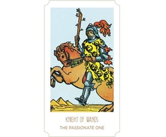 Dusserre Cartomancie Kolekcionuojamos Kortelės - Tarot Young Feel The Vibes 78 Kortelės Su Instrukcijų Knygele