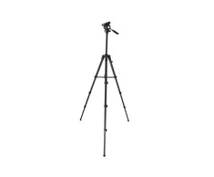 Formax Trikojis stovas su galva 58-167 cm
