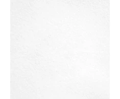 Fotografijos Fonas - Westcott Wrinkle Resistant 2.7 x 6.1m High Key Baltas