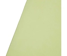 Fotografijos fonas - Westcott X Drop 5' x 12' Wrinkle Resistant Light Moss Sweep Žalias