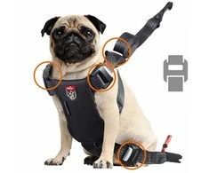 ZOLUX Travel Safe S red - dog harness