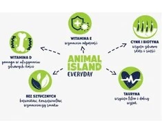 Gyvūnų maistas - ANIMAL ISLAND Vištiena sultinyje drėgnas kačių maistas 40x85g