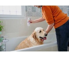 VIRBAC Allerderm sensitive skin - Šampūnas for dogs and cats - 250 ml