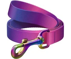 WAUDOG gradientinis nailoninis pavadėlis šuniui, 15 mm pločio, 122 cm ilgio, violetinis