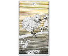 Harper One The Wild Unknown Tarot Kortos