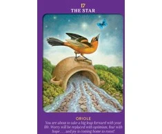 Hay House Animal Guides Tarot Kortos