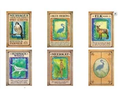 Hay House Messages From Your Animal Spirit Guides Oracle Kortos