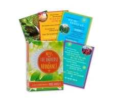 Hay House Notes From The Universe On Abundance Kortos