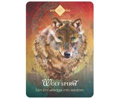 Hay House The Spirit Animal Oracle Kortos