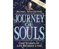 Journey Of Souls Knyga Llewellyn
