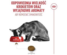 Kačių Maistas - Royal Canin Savour Exigent 10kg Sausas Maistas Išrankiems Kačiukams