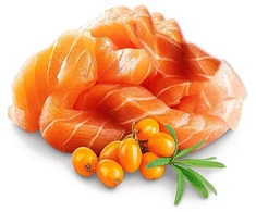 SHELMA Kitten with lašiša in sauce – šlapias kačių maistas – 85g