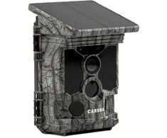 Kameros - Caruba Wildcamera Raccoon Solar 4K, 46MP, WiFi, 32GB