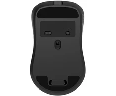Gembird MUSW2-7B-01 Dual-mode belaidė pelė (2.4G + BT), 1600 DPI, 7-button, juodas