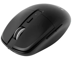 Gembird MUSW2-6B-01 Dual-mode belaidė pelė (2.4G + BT), 1600 DPI, 6-button, juodas