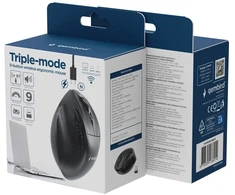 Gembird MUSW3-9B-01 Triple-mode wireless ergonomic pelė (2.4G + BT + USB), 2400 DPI, 9-button, juodas