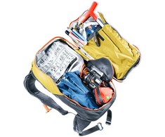 Kuprinė - Deuter Alproof Lite 22L Turmeric/Juodas