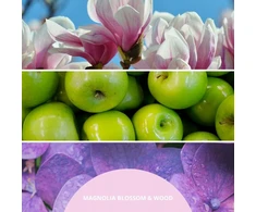 Reed Diffuser Refill 250 ml MAGNOLIA BLOSSOM &amp; WOOD MILLEFIORI