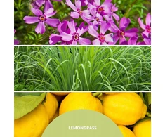 Reed Diffuser 250 ml LEMON GRASS MILLEFIORI