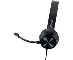Ausinės - LINDY USB-C Ausinės, 40 mm Garsiakalbiai, Valdymo Mygtukai, 1,95 m Laidas, Juodos