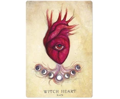 Llewellyn Anatomy Of A Witch Oracle Kortos