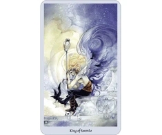 Llewellyn Shadowscapes Taro Kortos Ir Knyga (rinkinys)