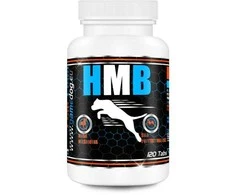 GAME DOG HMB - supplements for dogs - 120 tablets