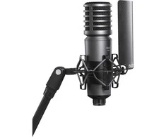 Mikrofonas - Godox XMic100GL Large Diaphragm Cardioid Condenser 24K Gold