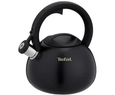 Virdulys nieelektryczny TEFAL N4180410