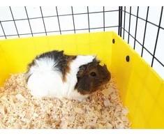 C&amp;C Modular cage 3x2 110x75 cm guinea pig, hedgehog, juodas