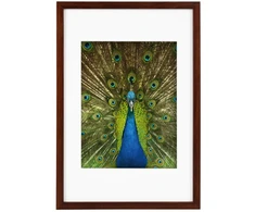 Nuotraukų Rėmas - GOLDBUCH Rėmas GB 900715 20x30/15x20 Medinis Mahagonas