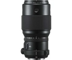 Objektyvas FUJIFILM FUJINON GF 250mm F4 R LM OIS WR