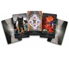 Oracle Kortos Starlight Frequencies Sacred Scribe Publishing