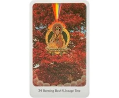 Orakulo Kortos The Tantric Dakini Destiny Books