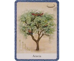 Orakulo Kortos The Wisdom Of Trees Watkins Publishing