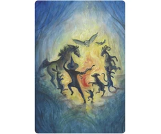 Oracle kortų rinkinys - Llewellyn A Witch's Ally 48 Gyvūnų Dvasios Kortos Marga