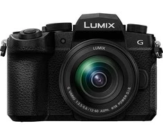 Panasonic Lumix DC-G97 + Panasonic LUMIX G Vario 12-60mm f/3.5-5.6 Asph. Power O.I.S (H-FS12060) (Juodas)