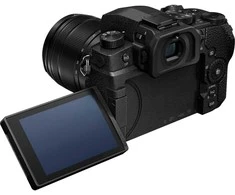 Panasonic Lumix G95D (90/91/99) + Panasonic LUMIX G Vario 12-60mm f/3.5-5.6 Asph. Power O.I.S (H-FS12060) (Juodas)