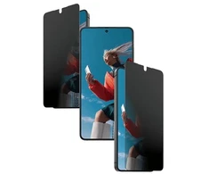 Panzer Glass Ekrano Apsauga - PanzerGlass 2-Way Privacy For Samsung Galaxy S26 With EasyAligner, Clear