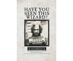 Dėlionė Plakatų ir Kišeninių Knygelių Kolekcija Harry Potter (rinkinys iš 3 dalių) Insight Editions