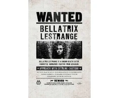 Dėlionė Plakatų ir Kišeninių Knygelių Kolekcija Harry Potter (rinkinys iš 3 dalių) Insight Editions