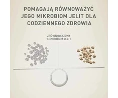 Purina Nestle Drėgnas Šunų Maistas - PURINA One Mini/Small Active Su Jautiena 85g