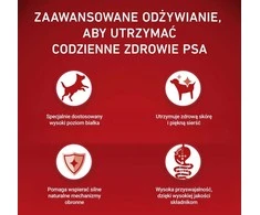 Purina Nestle ONE MINI Dog Adult jautiena & ryžiai 1,5kg