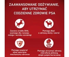 Purina Nestle ONE Medium/Maxi Junior vištiena & ryžiai 2,5kg