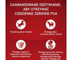 Purina Nestle ONE Medium/Maxi Adult Dog ėriena & ryžiai 2,5kg